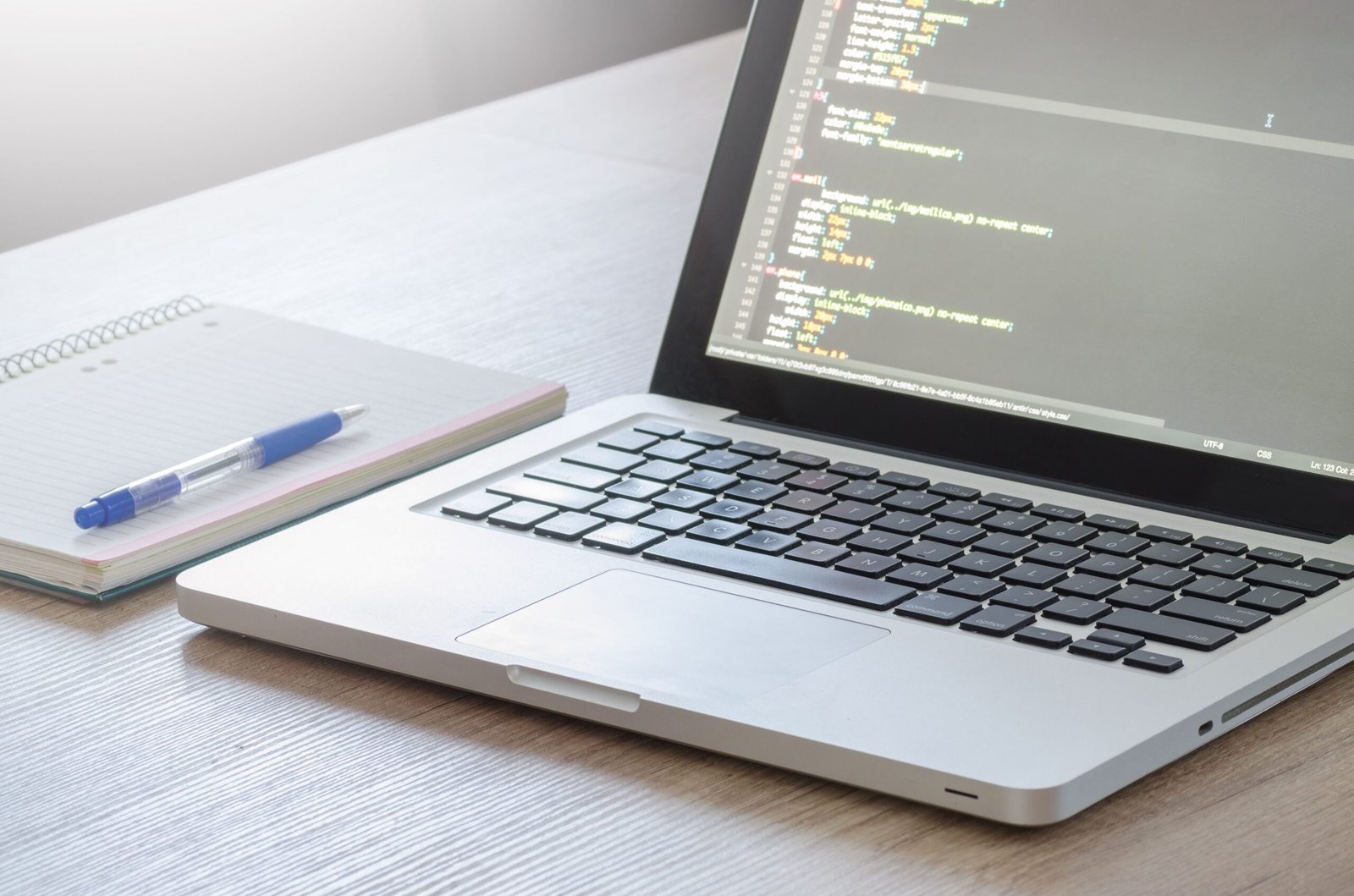 WordPress developer writing code on a laptop while building a client website